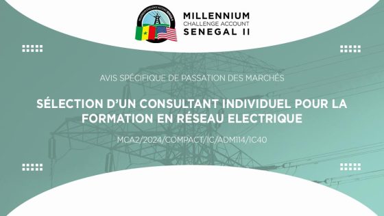 Avis pour la sélection d’un Consultant individuel pour la formation en réseau électrique