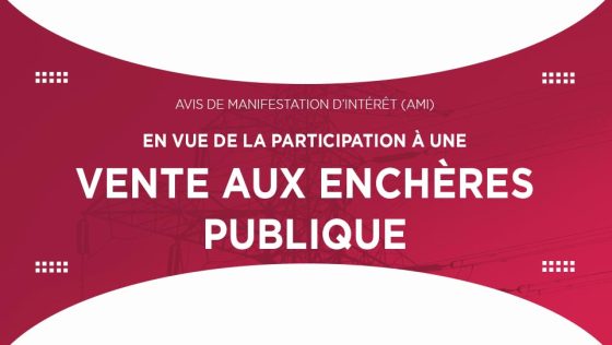AVIS DE MANIFESTATION D’INTERET (AMI) : En vue de la participation à une vente aux enchères publique