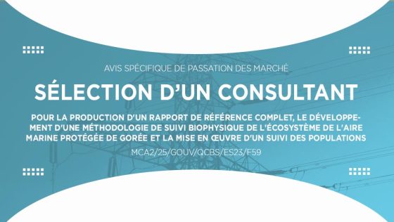 Avis pour la sélection de consultant pour la production d’un rapport de référence complet, le développement d’une méthodologie de suivi biophysique de l’écosystème de l’Aire Marine Protégée de Gorée et la mise en œuvre d’un suivi des populations