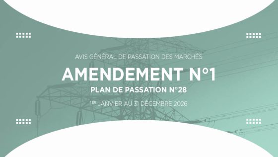 AVIS GÉNÉRAL DE PASSATION DE MARCHÉS : Plan de Passation des Marchés n°28 – Amendement 1