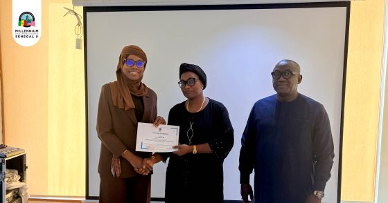 DPES : Formation sur les 8 normes de performance de la Société Financière Internationale au profit des partenaires (24-25/03/2026)