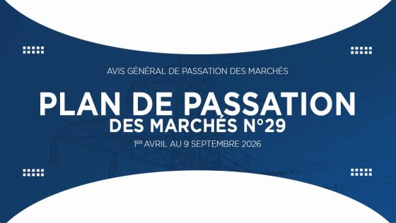 Avis Général de Passation de Marchés – Plan de Passation des Marchés PP 29