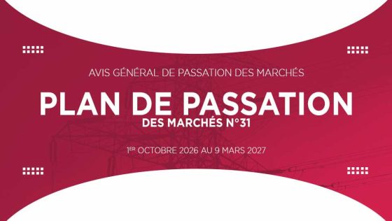 Avis Général de Passation de Marchés – Plan de Passation des Marchés PP 31